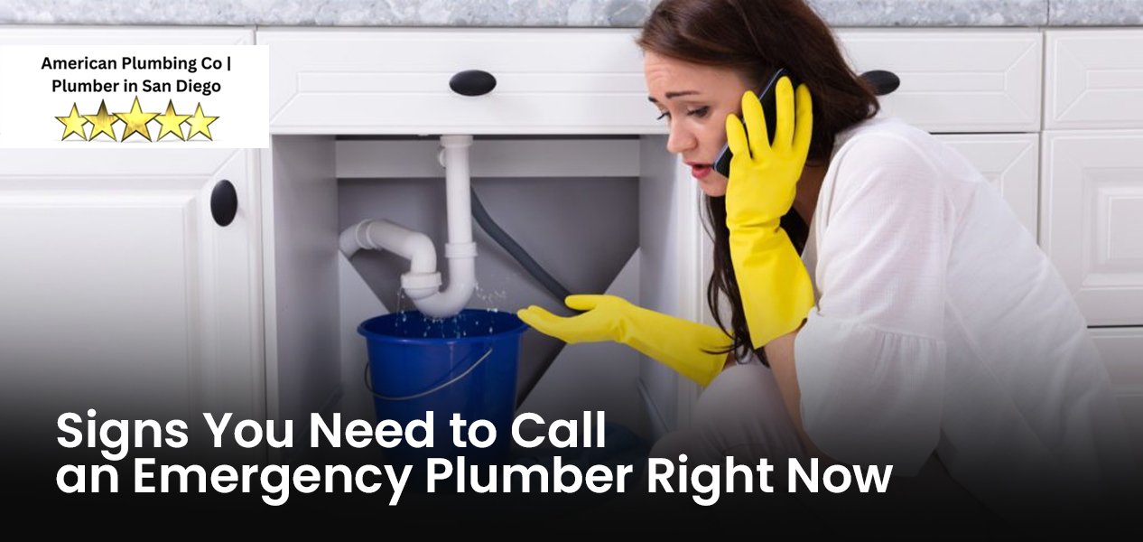 Signs You Need to Call an Emergency Plumber Right Now